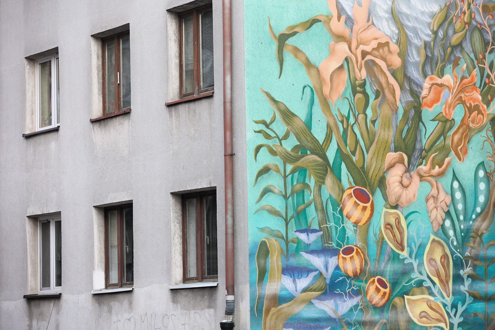 W Krakowie mamy nowy mural, dosłownie wyrósł w Podgórzu