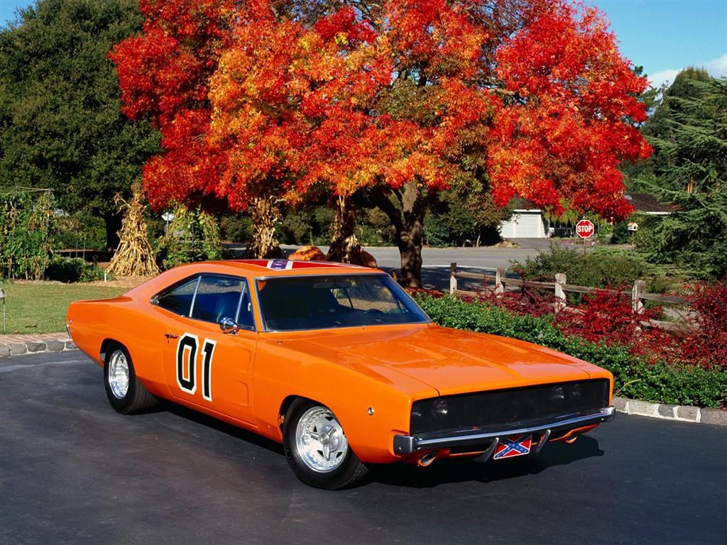 American Muscle - tylko dla prawdziwych mężczyzn! [galeria] 13