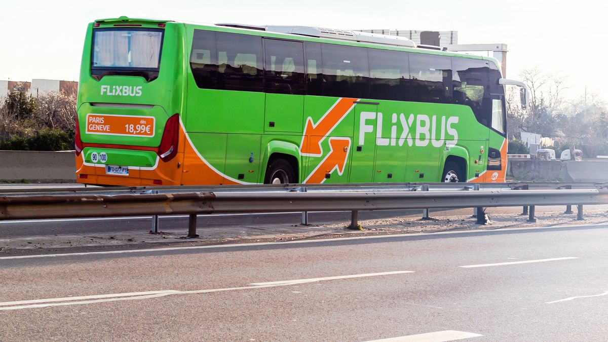 FlixBus przy okazji 10. rocznicy działalności zapowiedział najlepsze wyniki finansowe w historii