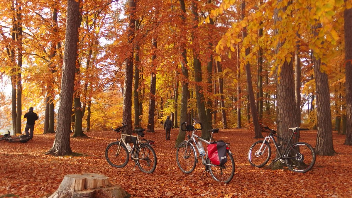 Resort edukacji rozważa wprowadzenie ferii jesiennych