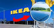 Ikea będzie produkować zieloną energię. Zbuduje farmę wiatrową i park solarny