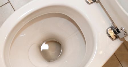 Wrzuć do muszli i zamknij klapę. Toaleta będzie lśnić