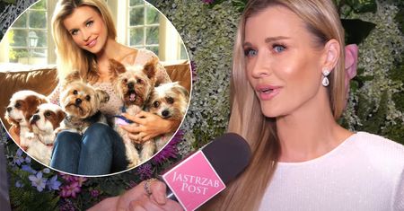 Joanna Krupa spełniła swoje marzenie! Modelka opowiedziała o nowym projekcie w USA. Na to czekała od lat [WIDEO]