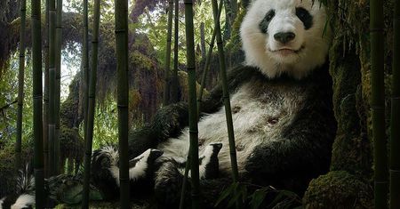 Fotomontaż czy genialne oko? Doskonałe prace Simena Johana