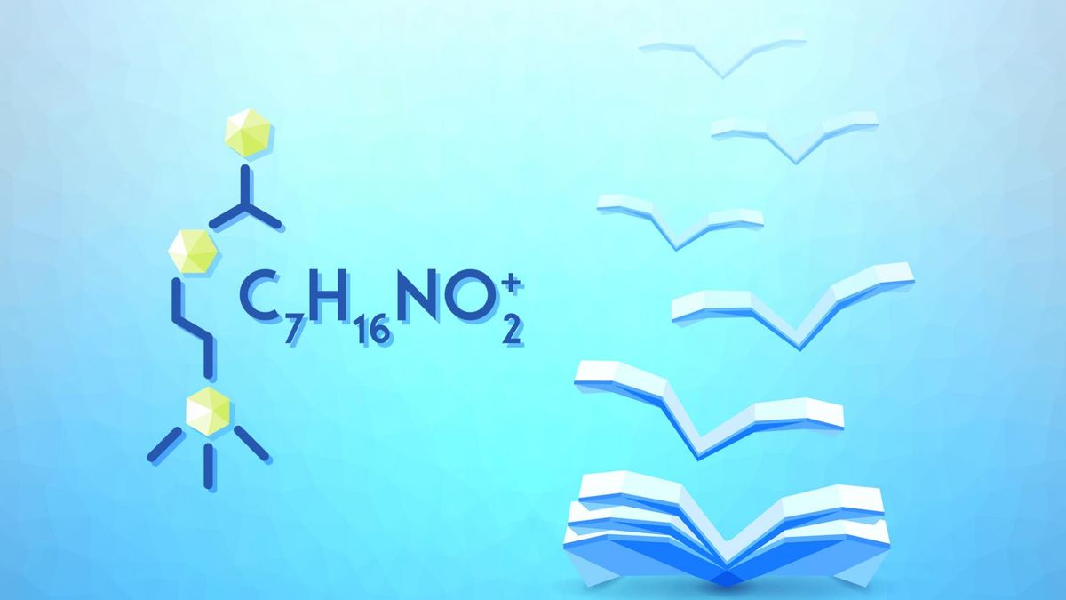 Zdjęcie przedstawia grafikę ilustrującą acetylocholinę