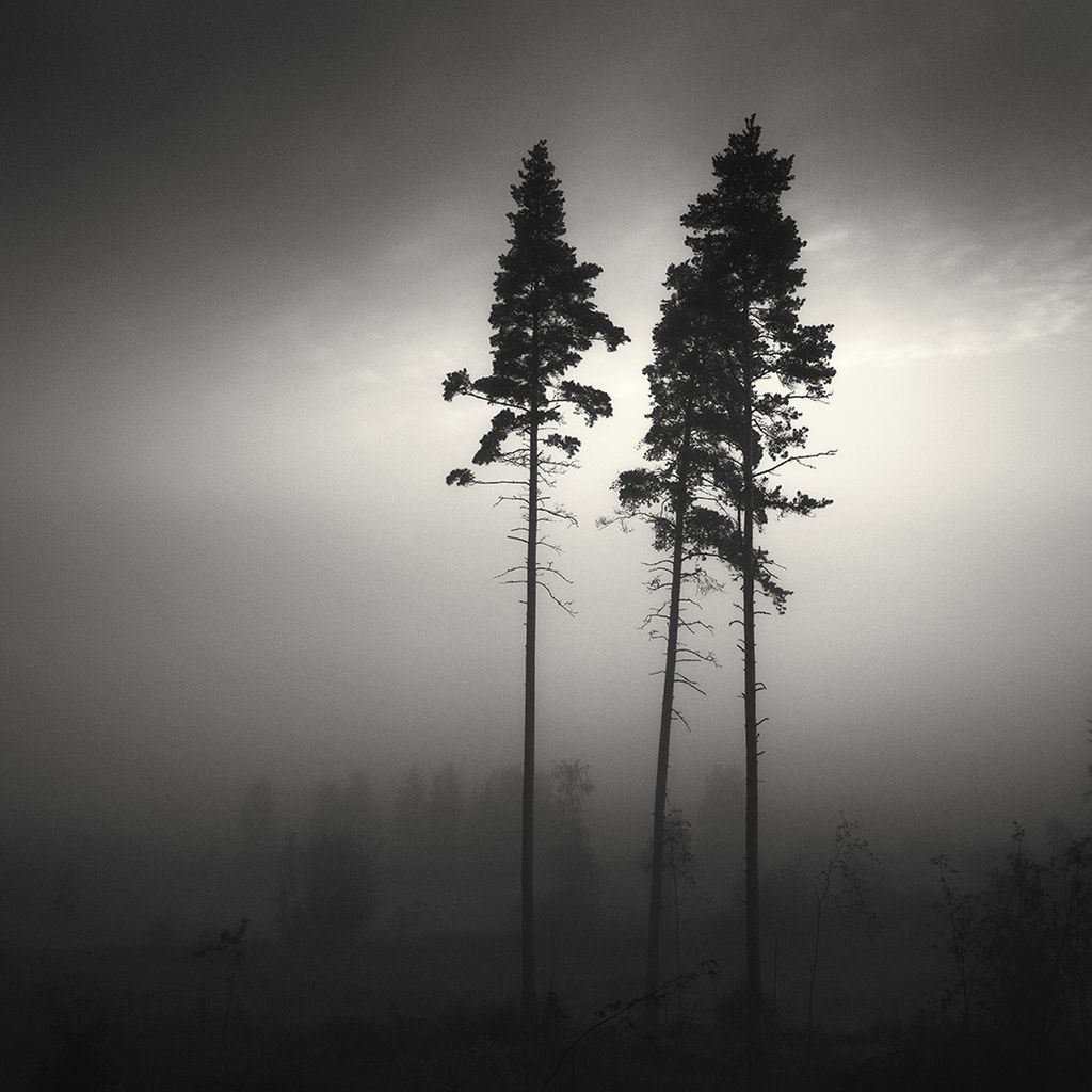 Prezentujemy najlepsze prace Neutral Density Photography Awards 2015 20