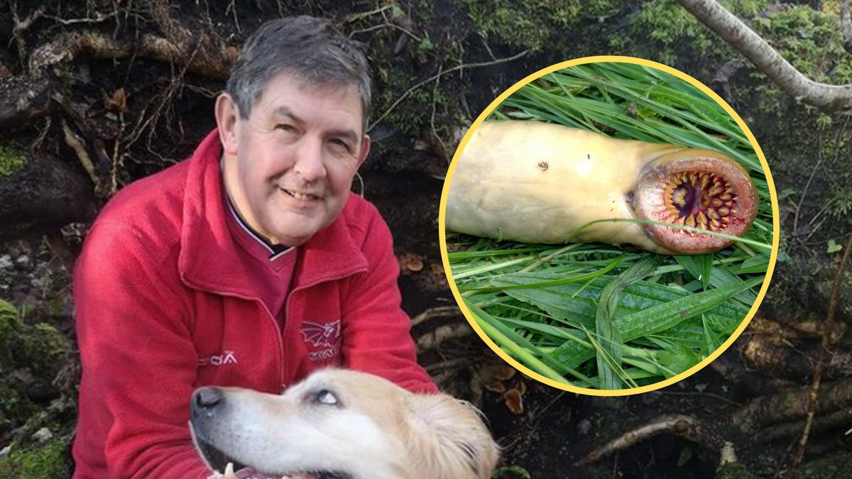 Craig zachwycał się napotkanym zwierzęciem