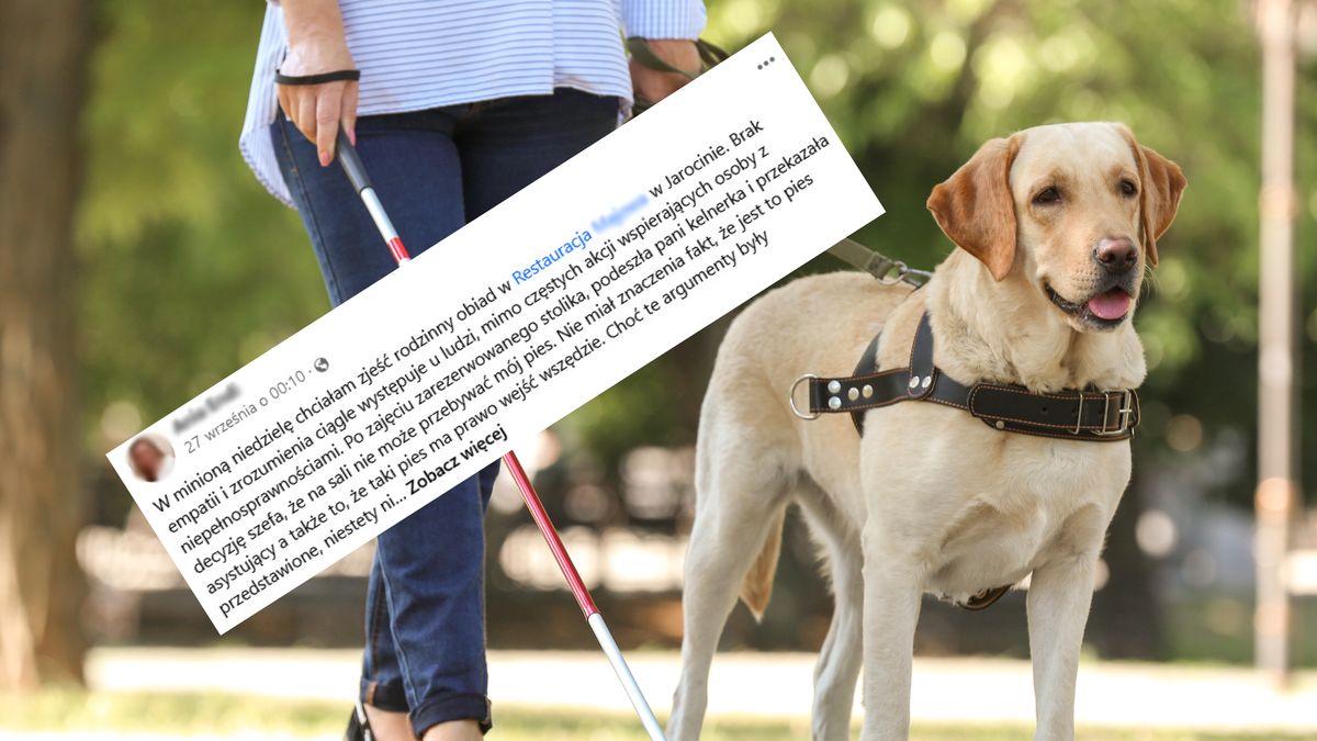 Awantura o psa w restauracji. "Ma prawo wejść wszędzie"
