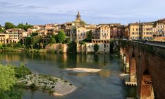 "Zjadają nawet psy". Niszczycielska plaga we Francji