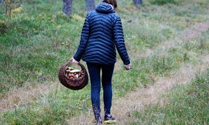 Poszedł do lasu i nazbierał jadalnych grzybów. Ludzie dopytywali, co to za okazy