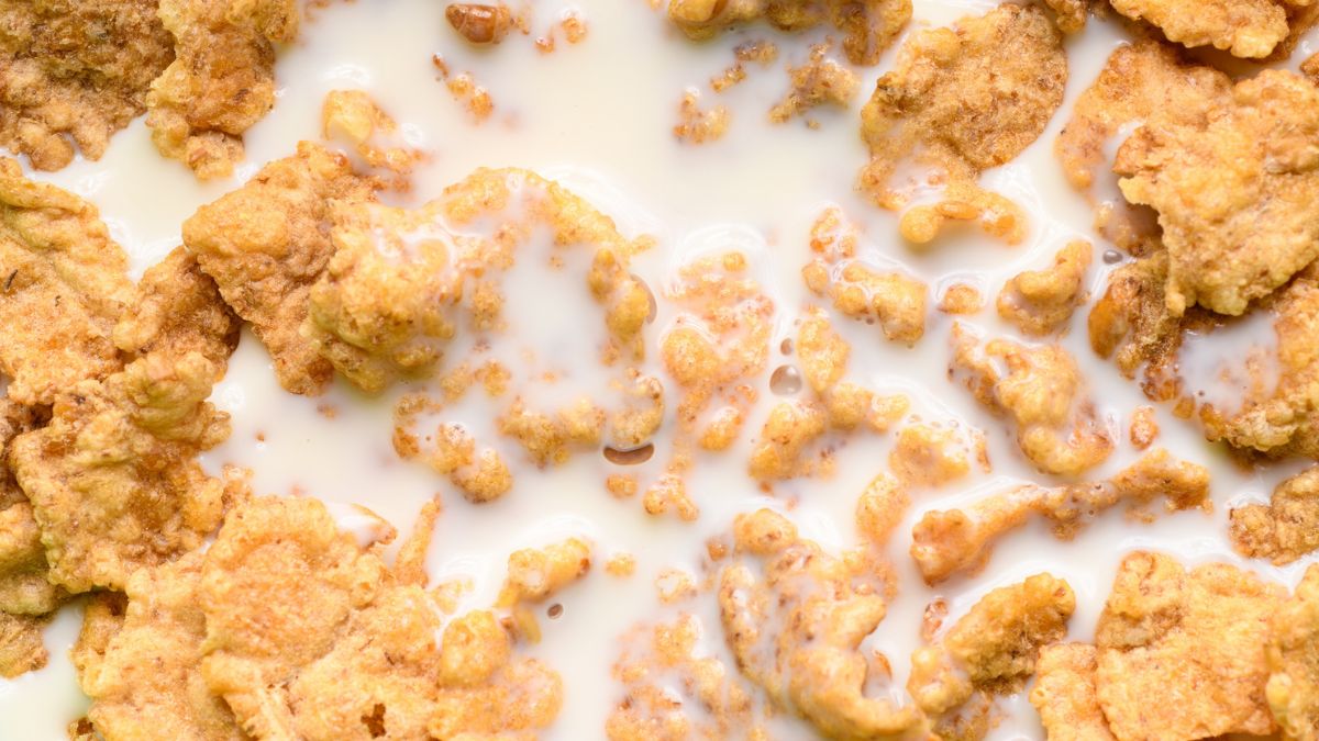 Napój roślinny nie zastąpi krowiego mleka