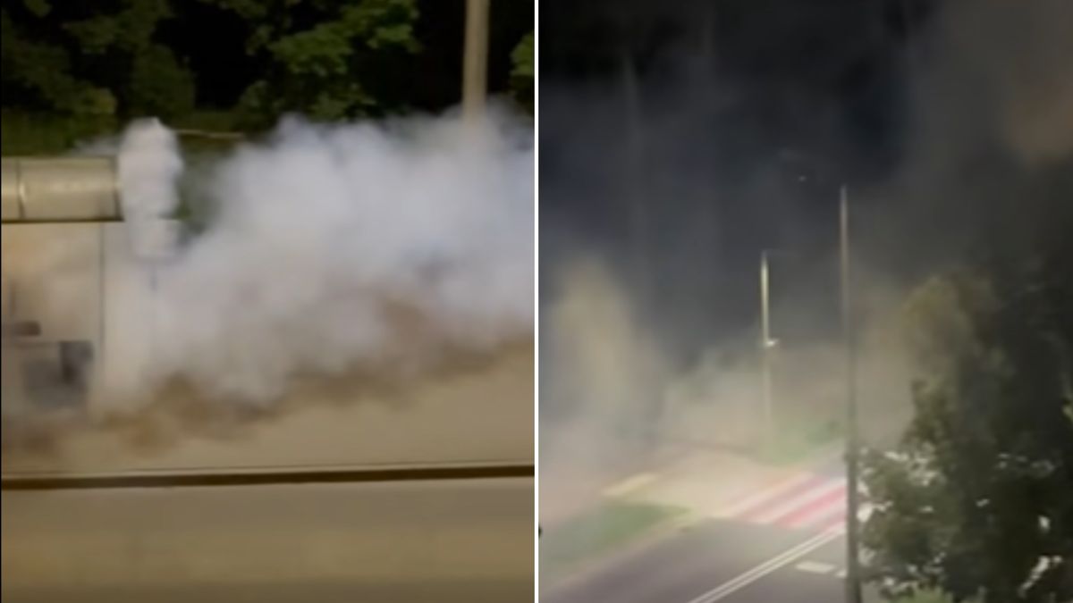 We Włocławku przeprowadzono opryski.