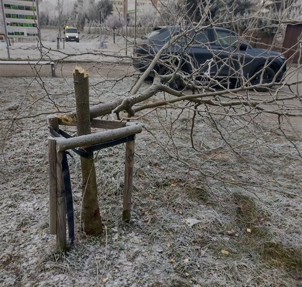 Stalowa Wola. 17-latek podejrzany o zniszczenie mienia