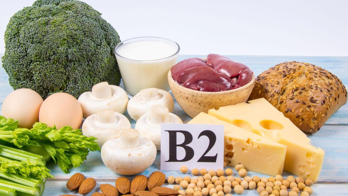 Witamina B2 zapewnia prawidłowe funkcjonowanie układu nerwowego.