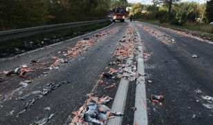 Pomorskie. Szczątki ryb na drodze. Doszło do wypadku