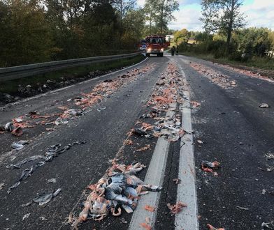 Pomorskie. Szczątki ryb na drodze. Doszło do wypadku