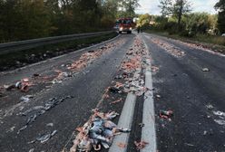 Pomorskie. Szczątki ryb na drodze. Doszło do wypadku