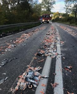 Pomorskie. Szczątki ryb na drodze. Doszło do wypadku