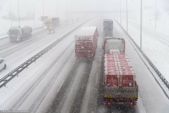 Protest przewoźników sparaliżuje Trójmiasto? Spór o terminale eskaluje