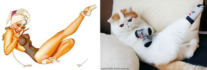 Koty, które pozują jak dziewczyny pin-up z dawnych amerykańskich plakatów 17