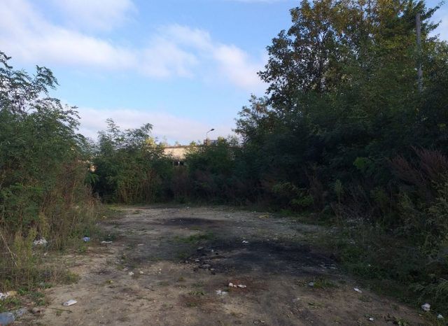 Podrzucił odpady przy ul. Grygowej, został ukarany i posprzątał po sobie