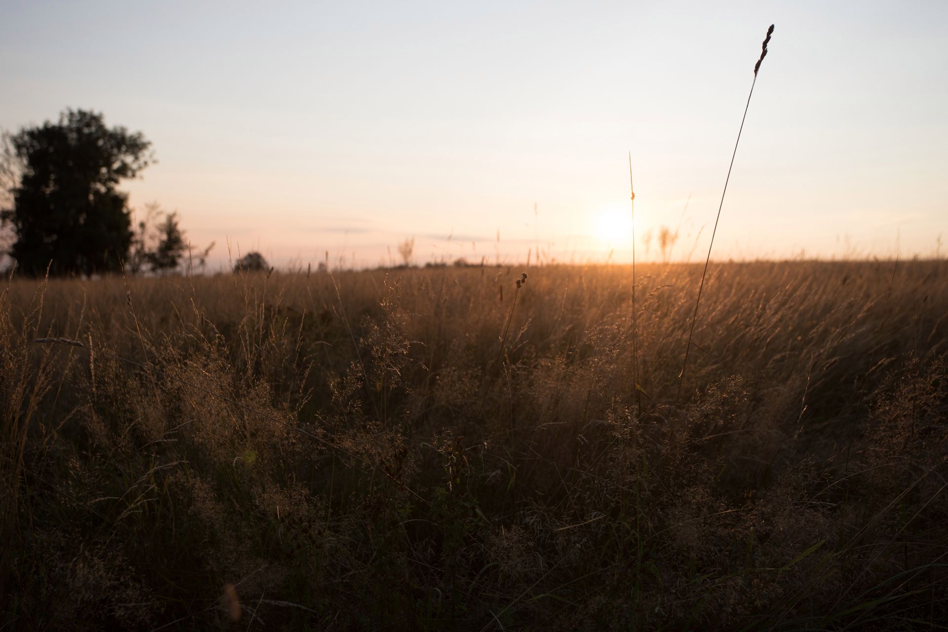 Canon EOS 6D Mark II - test następcy popopularnej pełnoklatkowej lustrzanki 231