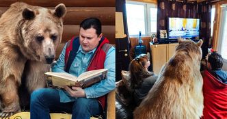 Małżeństwo Rosjan mieszka i je przy stole z... niedźwiedziem. Ma 23 lata i waży 140 kilo!