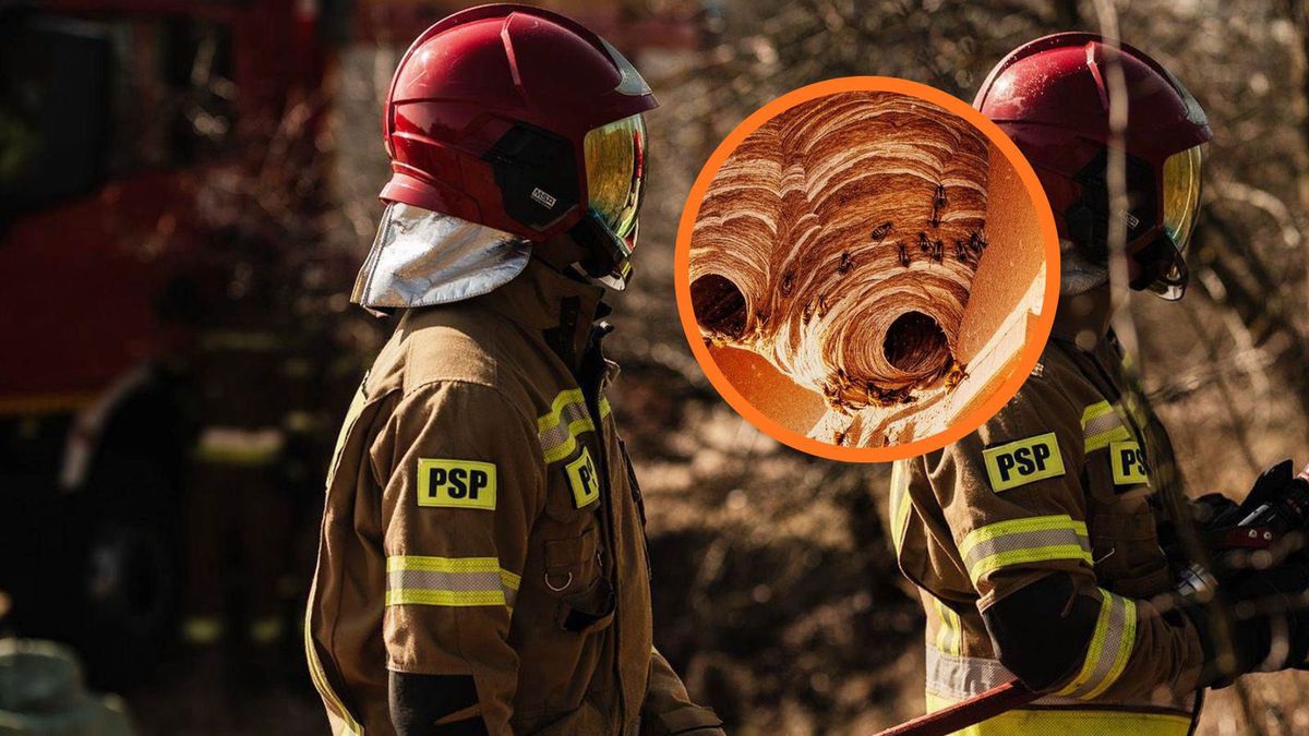 Strażak zginął podczas interencji