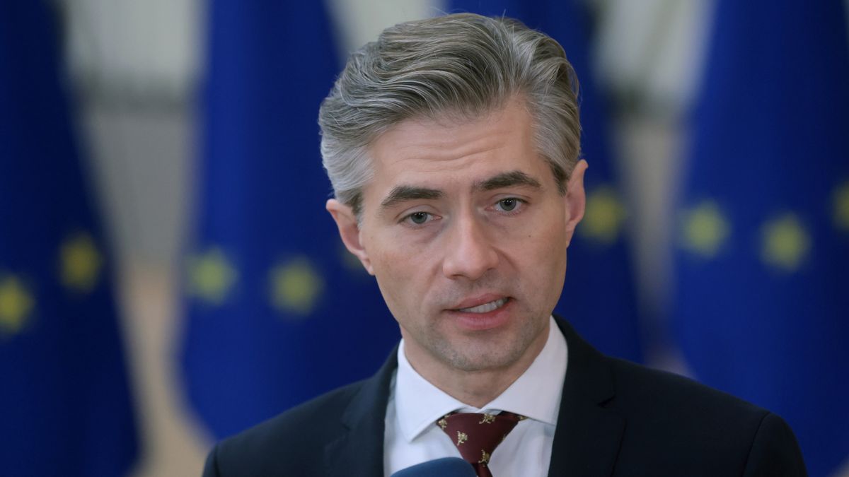 Szef litewskiego MSZ Kestutis Budrys 