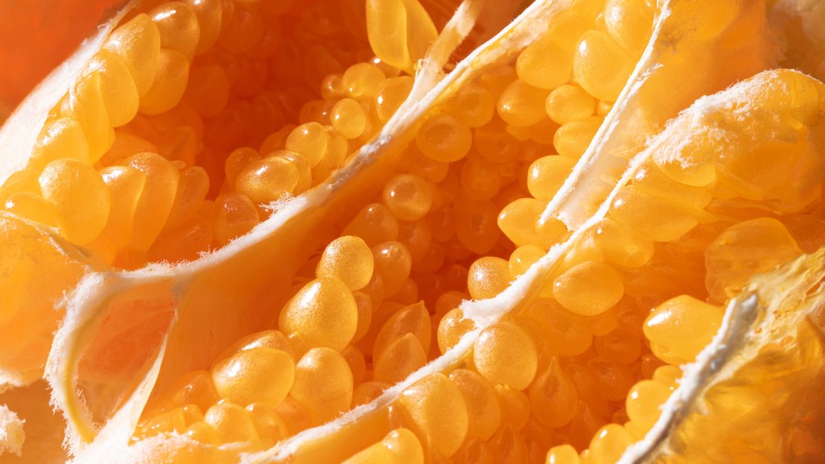 Jakie produkty chronią przed miażdżycą?