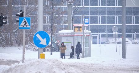 Atak zimy nadciąga nad Lubelszczyznę? Prognozy mówią nawet o 30 cm śniegu i -20°C