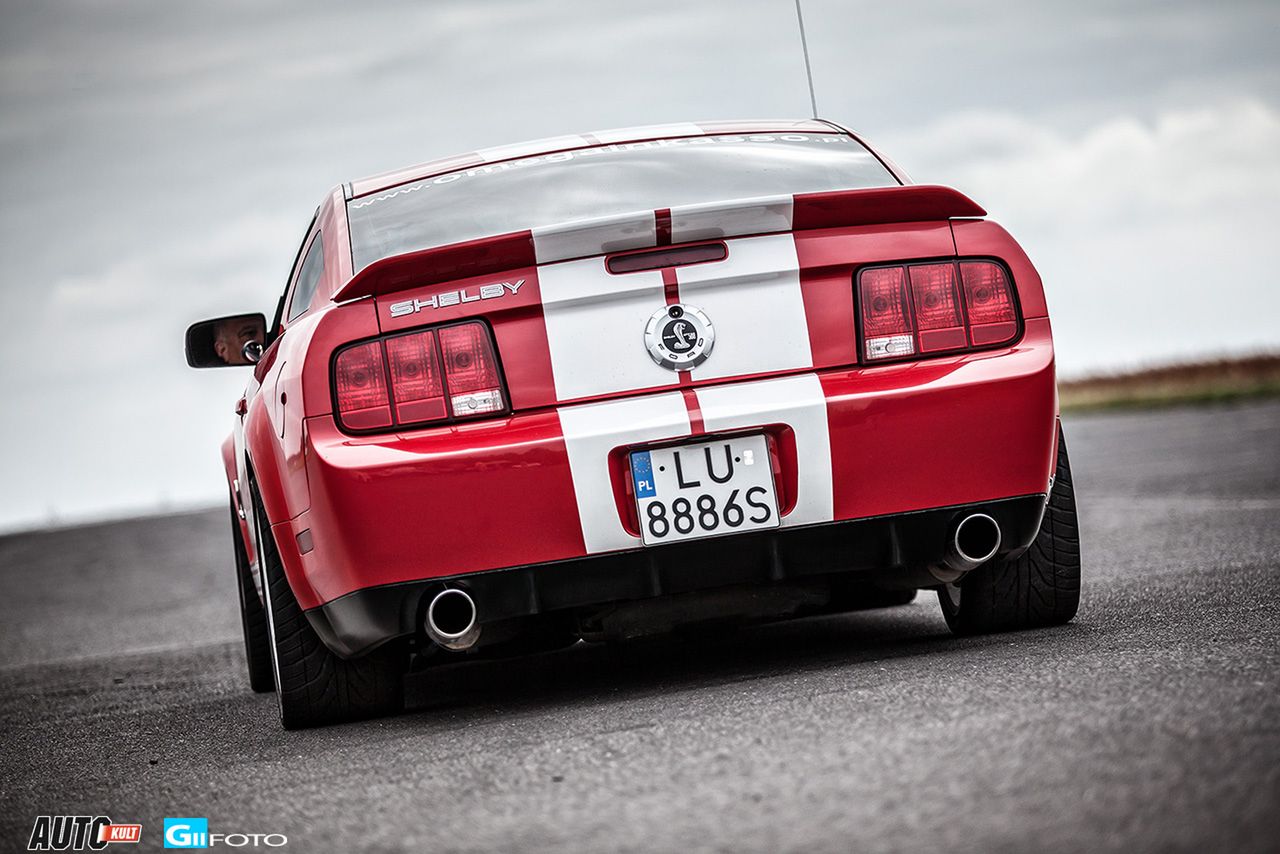 Shelby GT500 (fot.GIIFOTO)