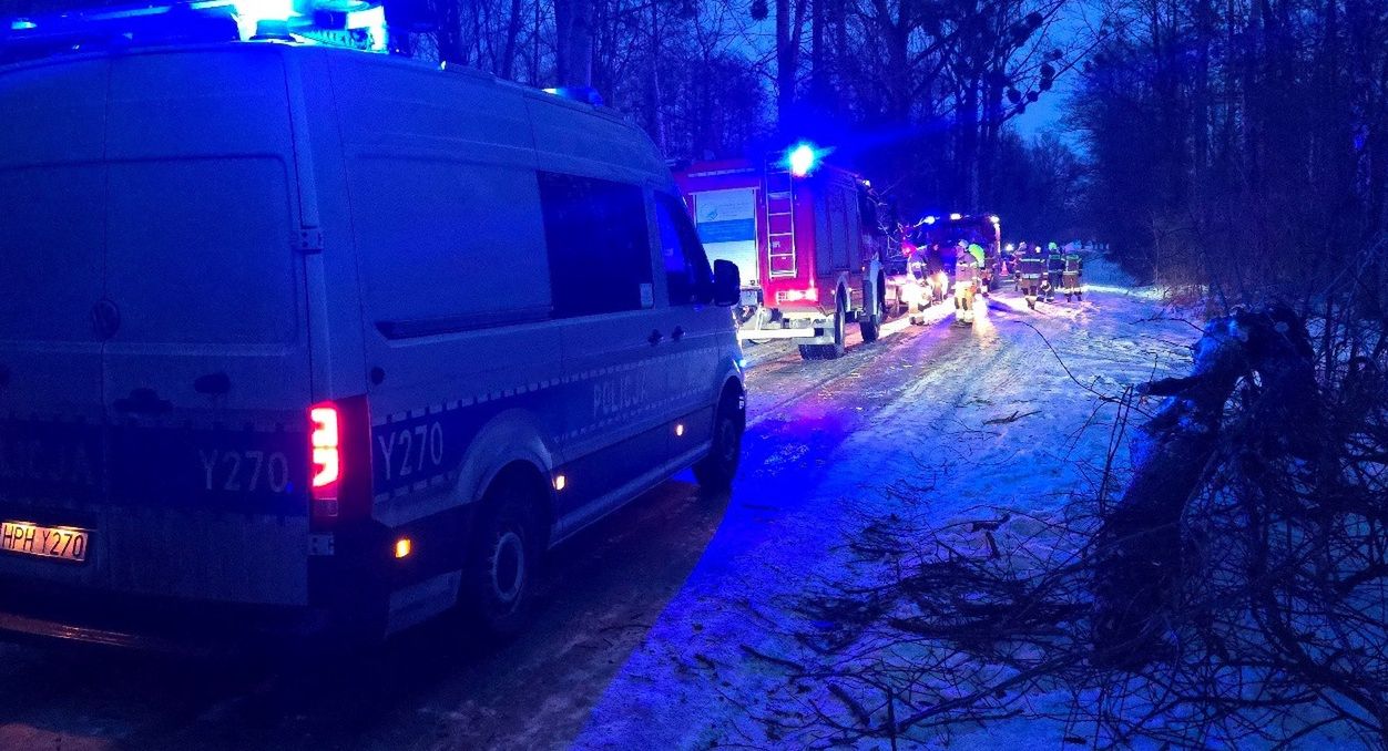 Zdarzenie drogowe w gminie Słubice. Samochód uderzył w drzewo na oblodzonej drodze!