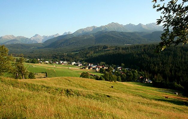 Obraz