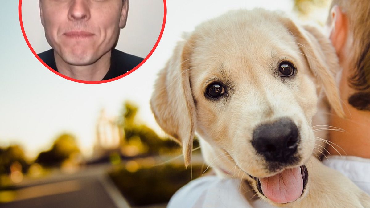 Czy zwierzęta trafią do nieba? Ksiądz nie ma wątpliwości. 