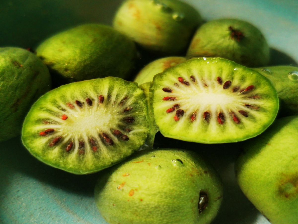 Mini kiwi dopiero zyskuje na popularności