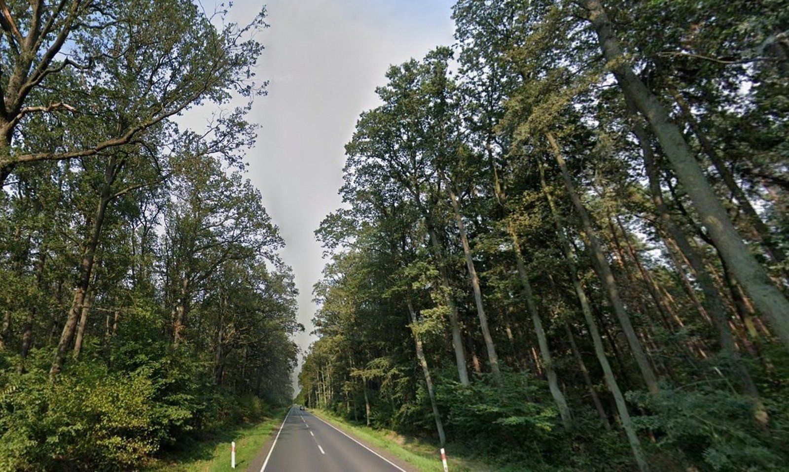 Samorząd wybuduje drogę rowerową pomiędzy Lesznem a Kąkolewem