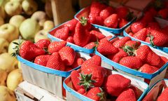 Kupujesz "polskie truskawki" na targu? Sprawdź, jak nie dać się oszukać