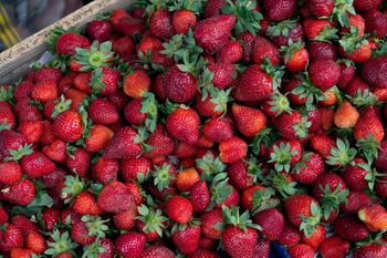 Tylko tak rozpoznasz polskie truskawki. Kluczowy szczegół