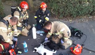 Gdynia. Strażacy ratują każde życie