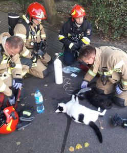 Gdynia. Strażacy ratują każde życie