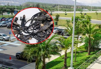 Rosjanka wpadła na lotnisku w Quito. Szokujące, co miała ukryte w bagażu