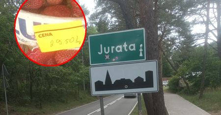 Kaszubi przebili nawet górali. Cena truskawek zwali cię z nóg