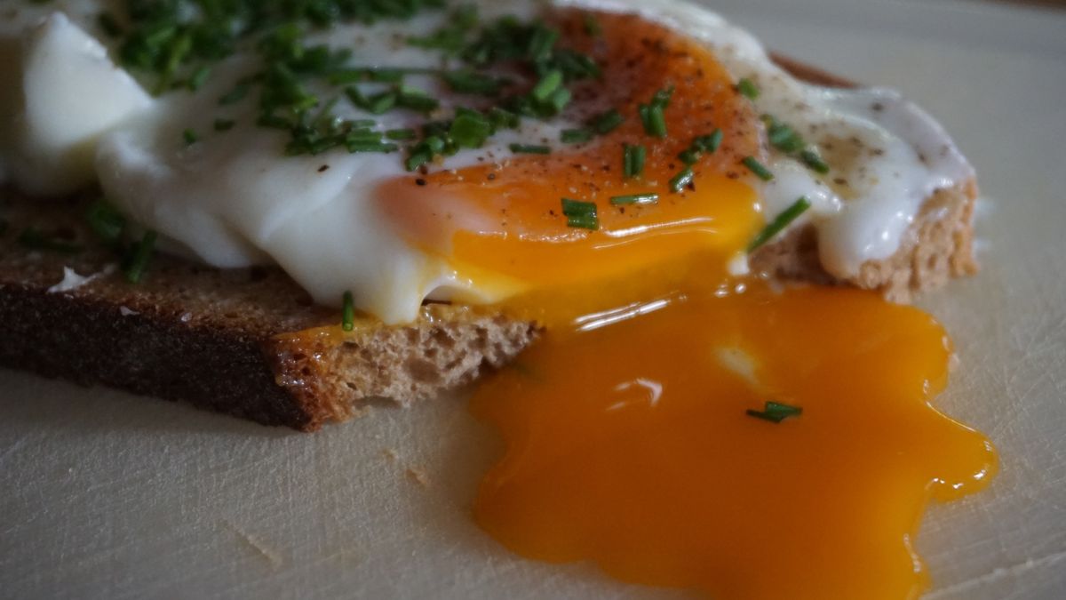 Sandwich With Egg And ChivesMatthias Häberlein / EyeEmNo People, Indoors, Day, Close-Up, Selective Focus, Food, Breakfast, Ready-To-Eat, Serving Size, Animal Egg, Chives, Sandwich