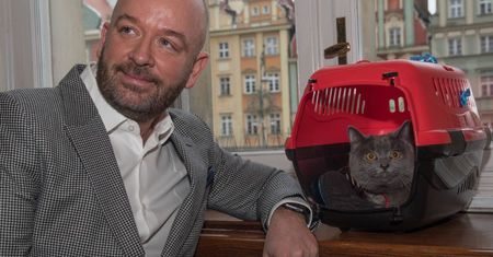 Wrocław: Jest decyzja prokuratury ws. kota Wrocka