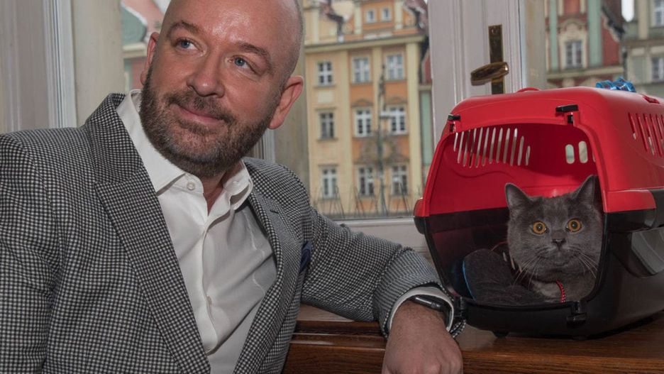 Kot Wrocek mieszka w magistracie od roku. To kolejny pupil, który znalazł dom we wrocławskim urzędzie miasta.