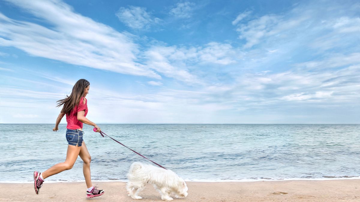 Niektórych pracowników będzie we wrześniu czekał przymusowy - ale zgodny z prawem - urlop