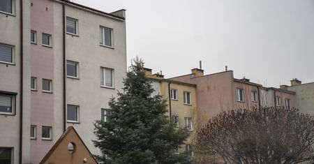 Cześć Chodzież, mamy nowy dzień!