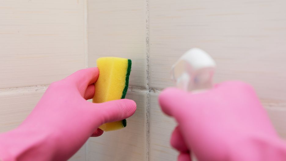 dirty tile cleaning and mold removing from grout
dirty tile cleaning and mold removing from grout
ronstik
surface, sanitary