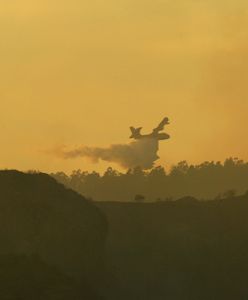 Gigantyczny pożar we Francji. Wywołał go niedogaszony grill